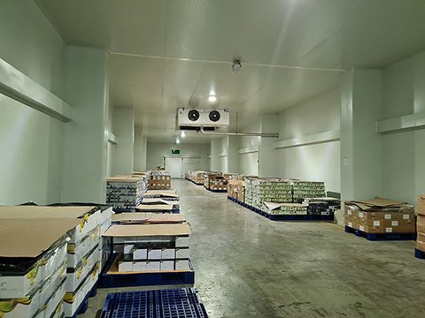 Cold Storage