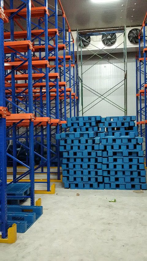Cold Storage