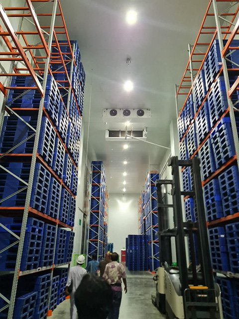 Cold Storage